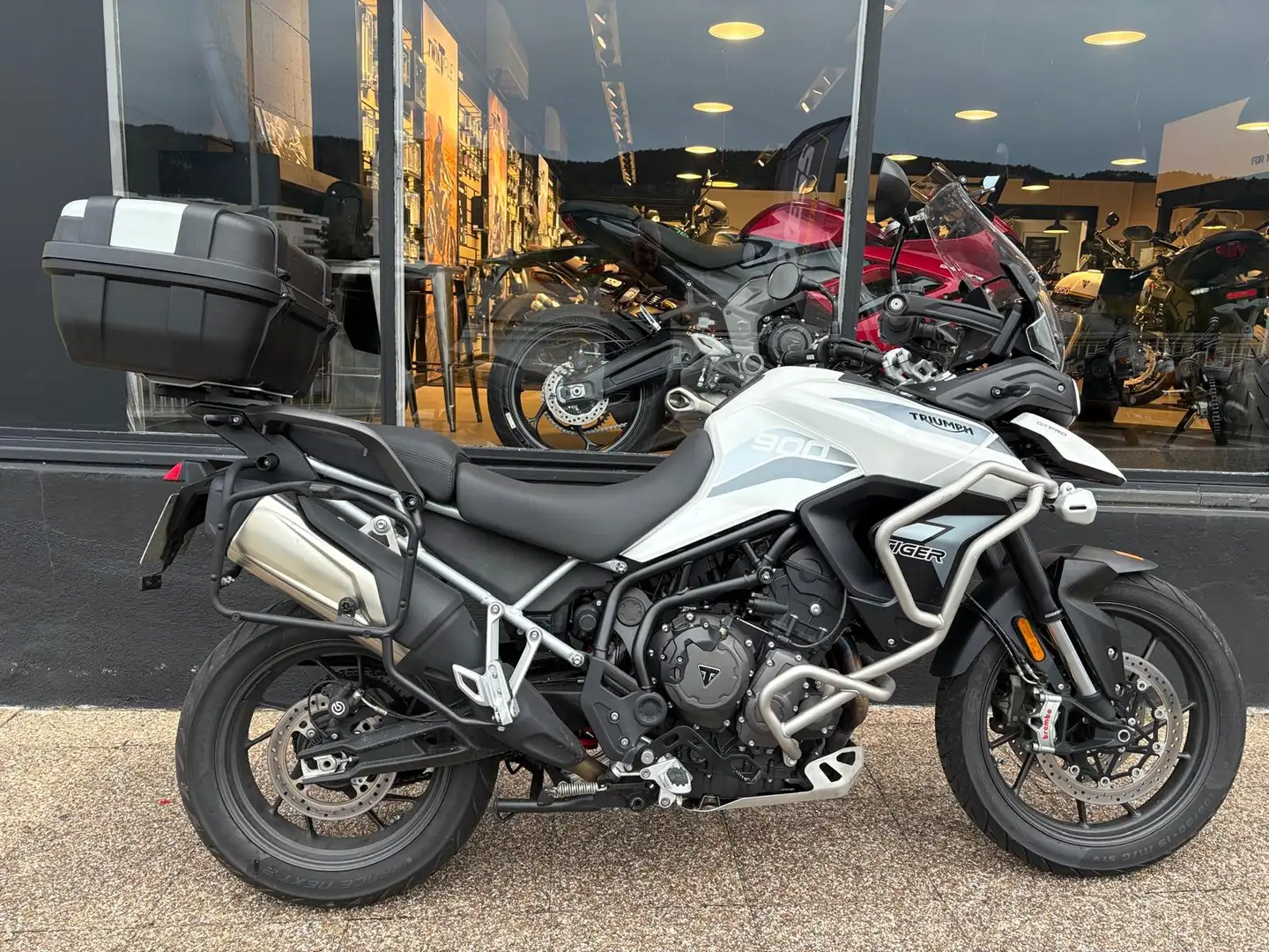 Triumph Tiger 900 - 1