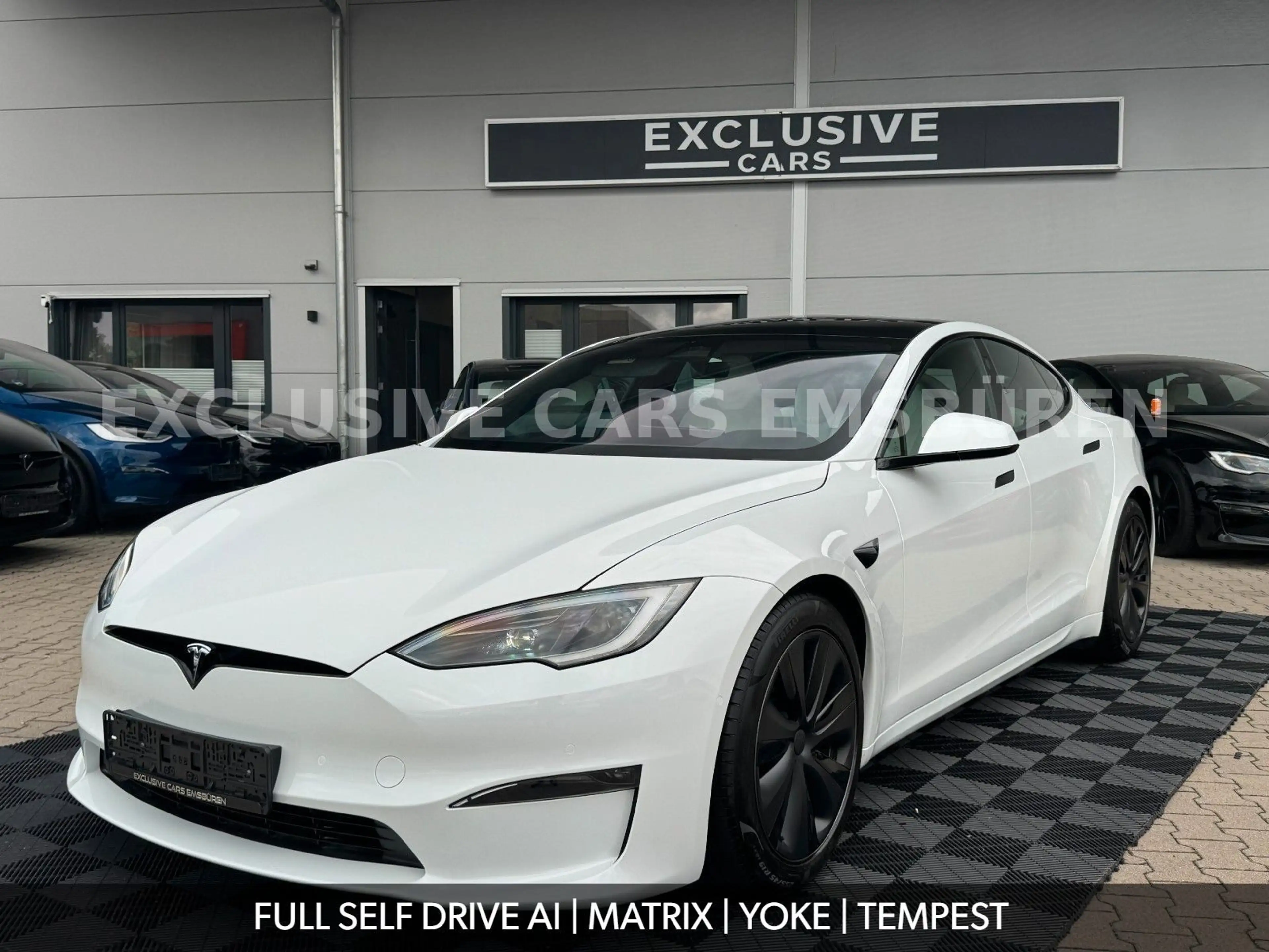 Tesla Model S MODEL S PALLADIUM | FULL SELF DRIVE AI | MATRIX