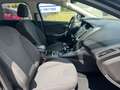 Ford Focus Wagon 1.0 EcoBoost Titanium 2013 Cruise Clima PDC Nero - thumbnail 9