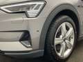 Audi e-tron 55 quattro Digitales Cockpit Glanz-Paket Grau - thumbnail 6