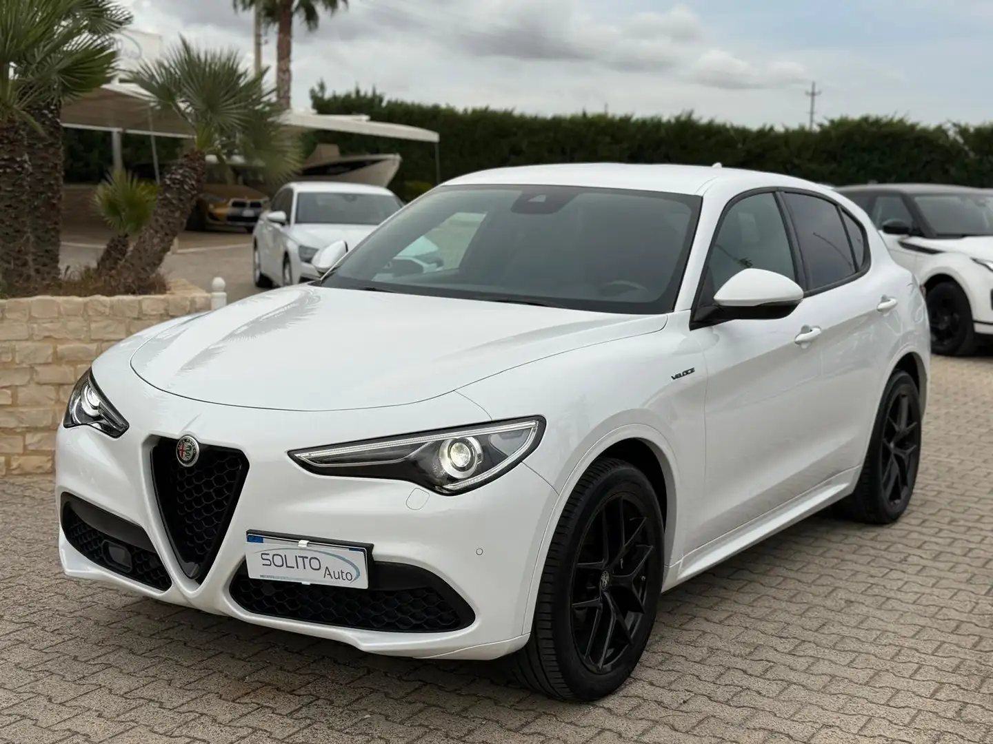 Alfa Romeo Stelvio 2.2 Td 210 CV AT8 Q4 Veloce New Model Bianco - 1