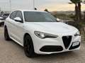 Alfa Romeo Stelvio 2.2 Td 210 CV AT8 Q4 Veloce New Model Bianco - thumbnail 4