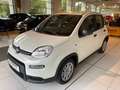 Fiat Panda Hybrid Pandina Weiß - thumbnail 4