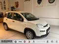 Fiat Panda Hybrid Pandina Weiß - thumbnail 1