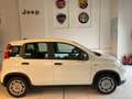 Fiat Panda Hybrid Pandina Weiß - thumbnail 5