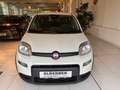Fiat Panda Hybrid Pandina Weiß - thumbnail 3