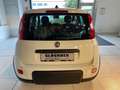 Fiat Panda Hybrid Pandina Weiß - thumbnail 7