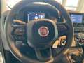 Fiat Panda Hybrid Pandina Weiß - thumbnail 14
