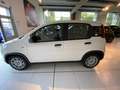 Fiat Panda Hybrid Pandina Weiß - thumbnail 9