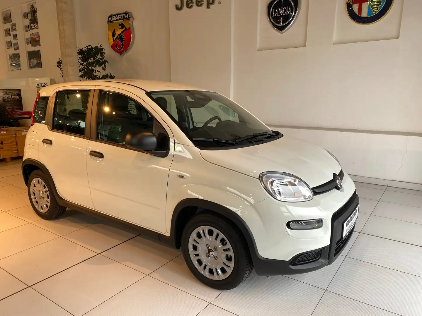 Fiat Panda Hybrid Pandina Weiß - 2