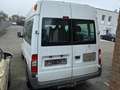 Ford Transit Bus Weiß - thumbnail 2