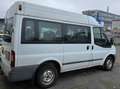 Ford Transit Bus Weiß - thumbnail 1