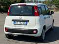 Fiat Panda Panda III 2018 1.2 Lounge easypower Gpl 69cv Bianco - thumbnail 7