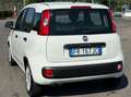 Fiat Panda Panda III 2018 1.2 Lounge easypower Gpl 69cv Bianco - thumbnail 2