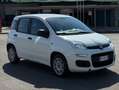 Fiat Panda Panda III 2018 1.2 Lounge easypower Gpl 69cv Bianco - thumbnail 1