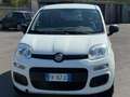 Fiat Panda Panda III 2018 1.2 Lounge easypower Gpl 69cv Bianco - thumbnail 8