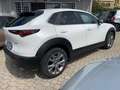 Mazda CX-30 CX-30 2.0 m-hybrid Executive 2wd 186cv 6mt Blanc - thumbnail 6