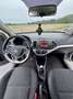 Kia Picanto Picanto 3-Türer 1.0 Fifa World Cup Edition - thumbnail 8