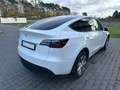 Tesla Model Y Model Y RWD Weiß - thumbnail 3