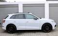 Audi SQ5 3.0 TFSI quattro/360°K/PANO/HUB/MATRIX/B&O Weiß - thumbnail 8