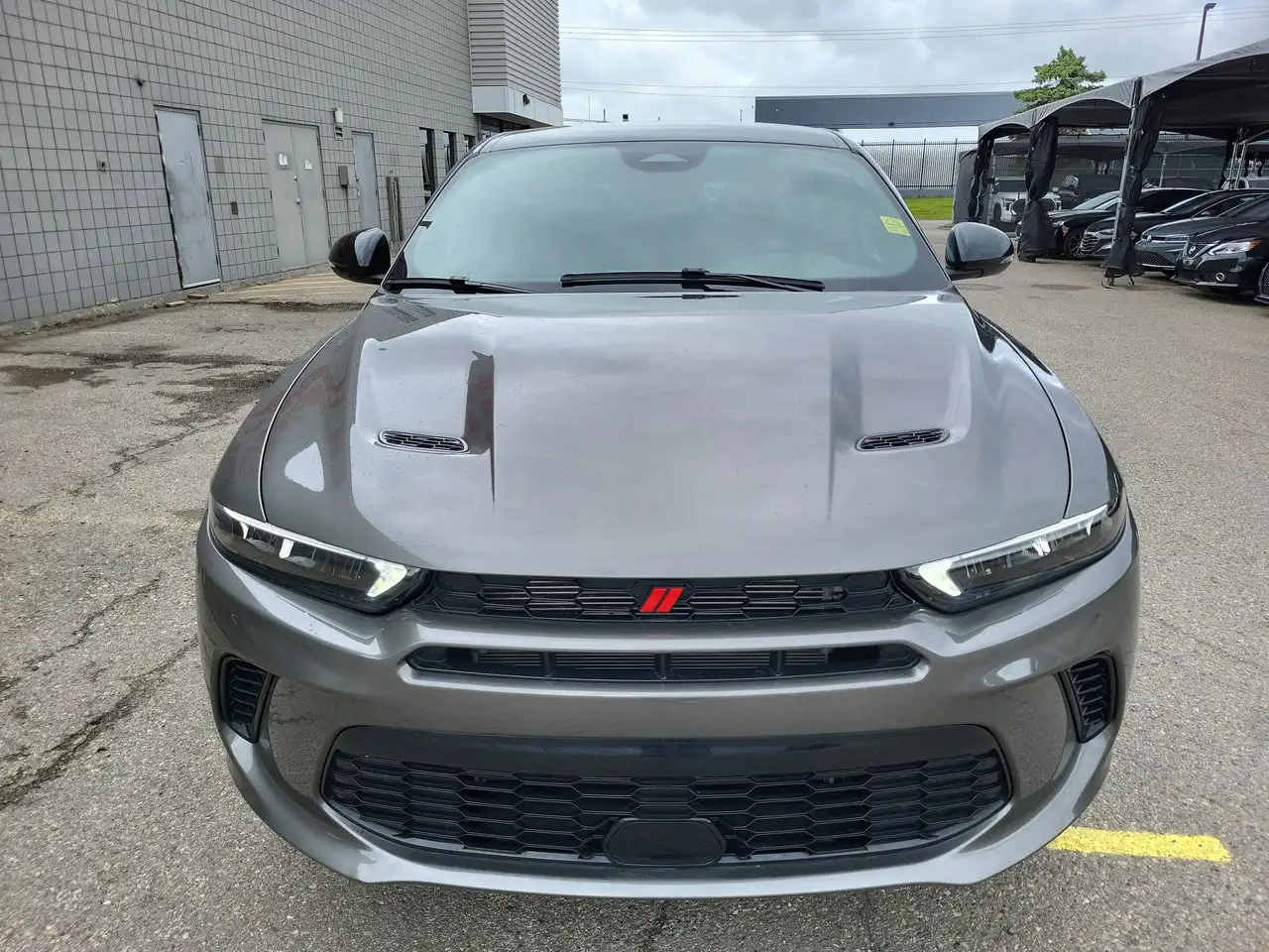 Dodge Hornet снимка Dodge Hornet