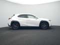 Lexus UX 250h Luxury Line | Glazen Schuifdak | Trekhaak | Blanc - thumbnail 22