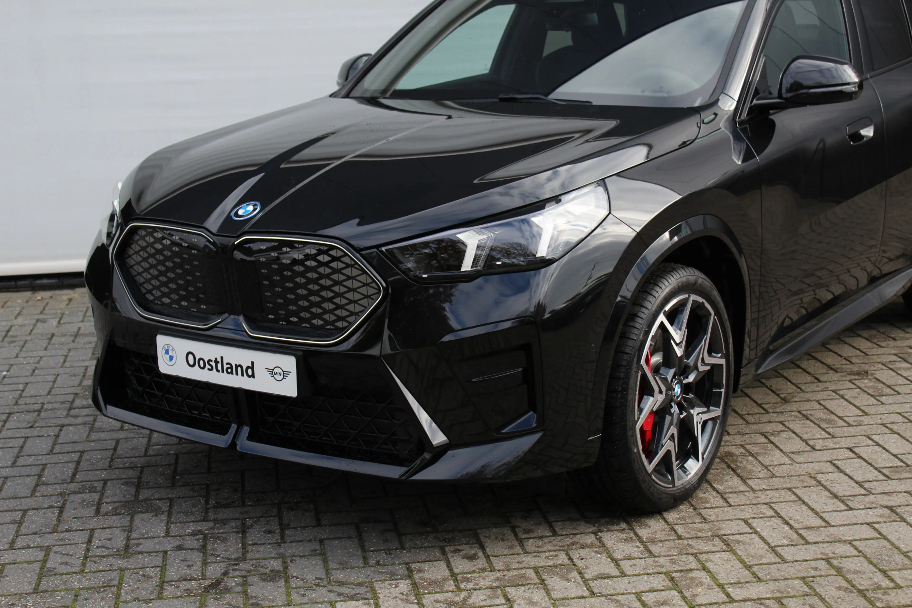 BMW iX2 xDrive30 High Executive M Sport / Panoramadak / Tr — photo 4