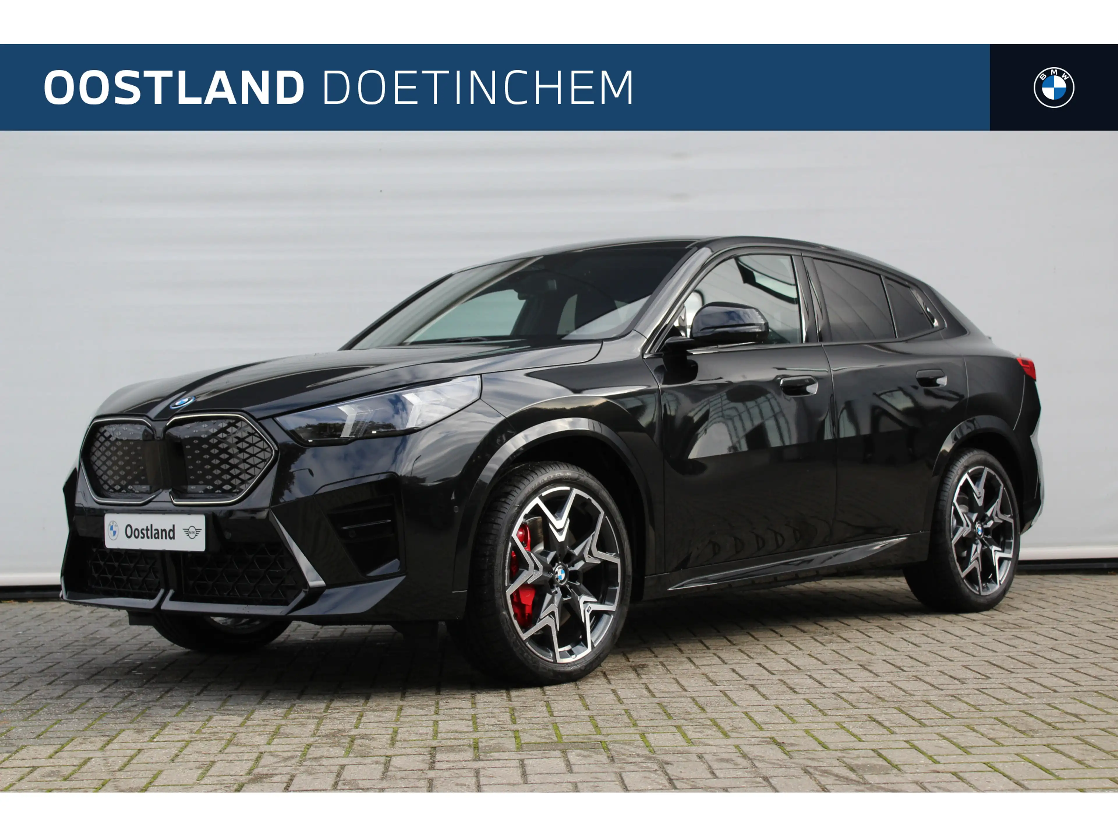 BMW iX2 xDrive30 High Executive M Sport / Panoramadak / Tr