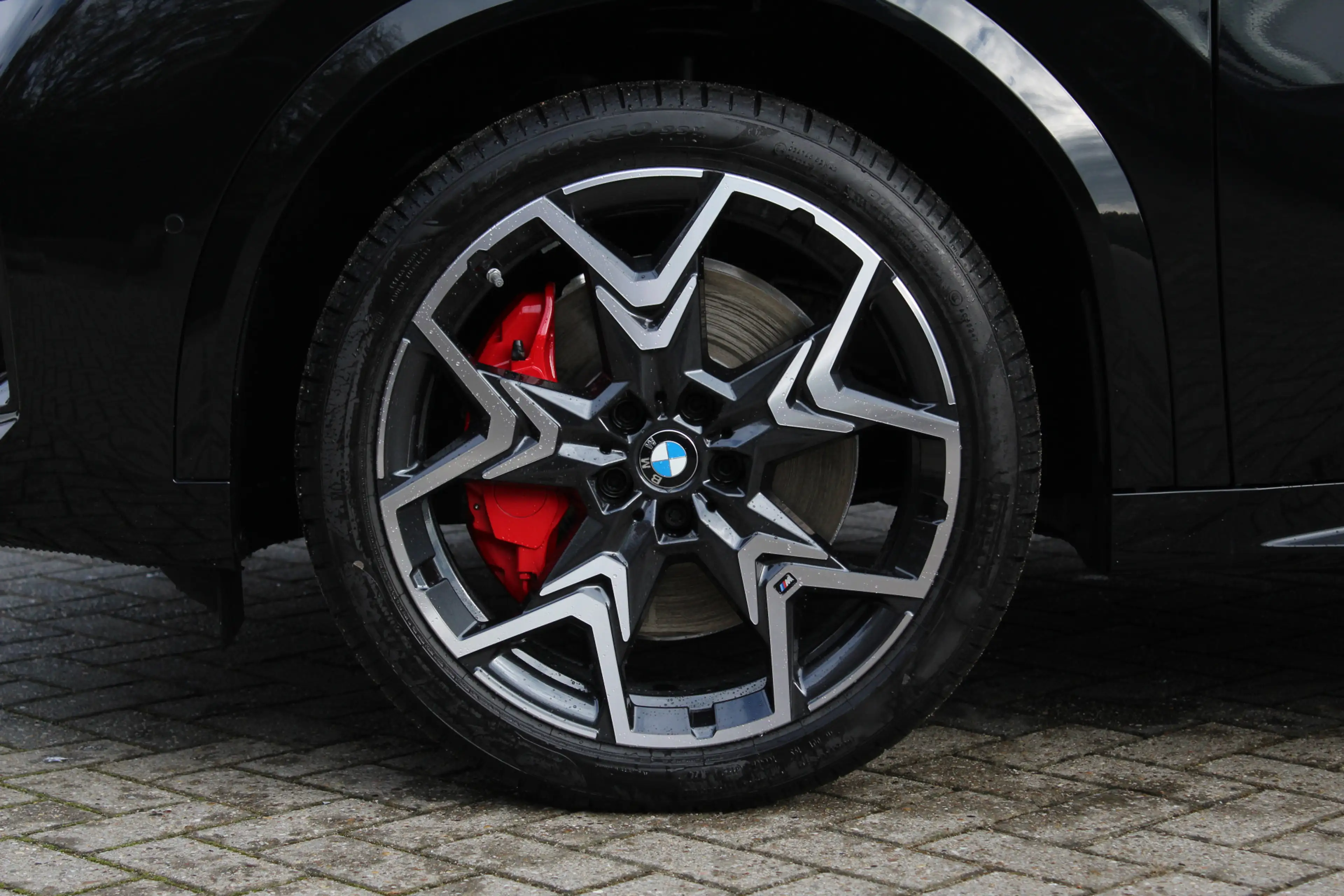 BMW iX2 xDrive30 High Executive M Sport / Panoramadak / Tr — photo 7