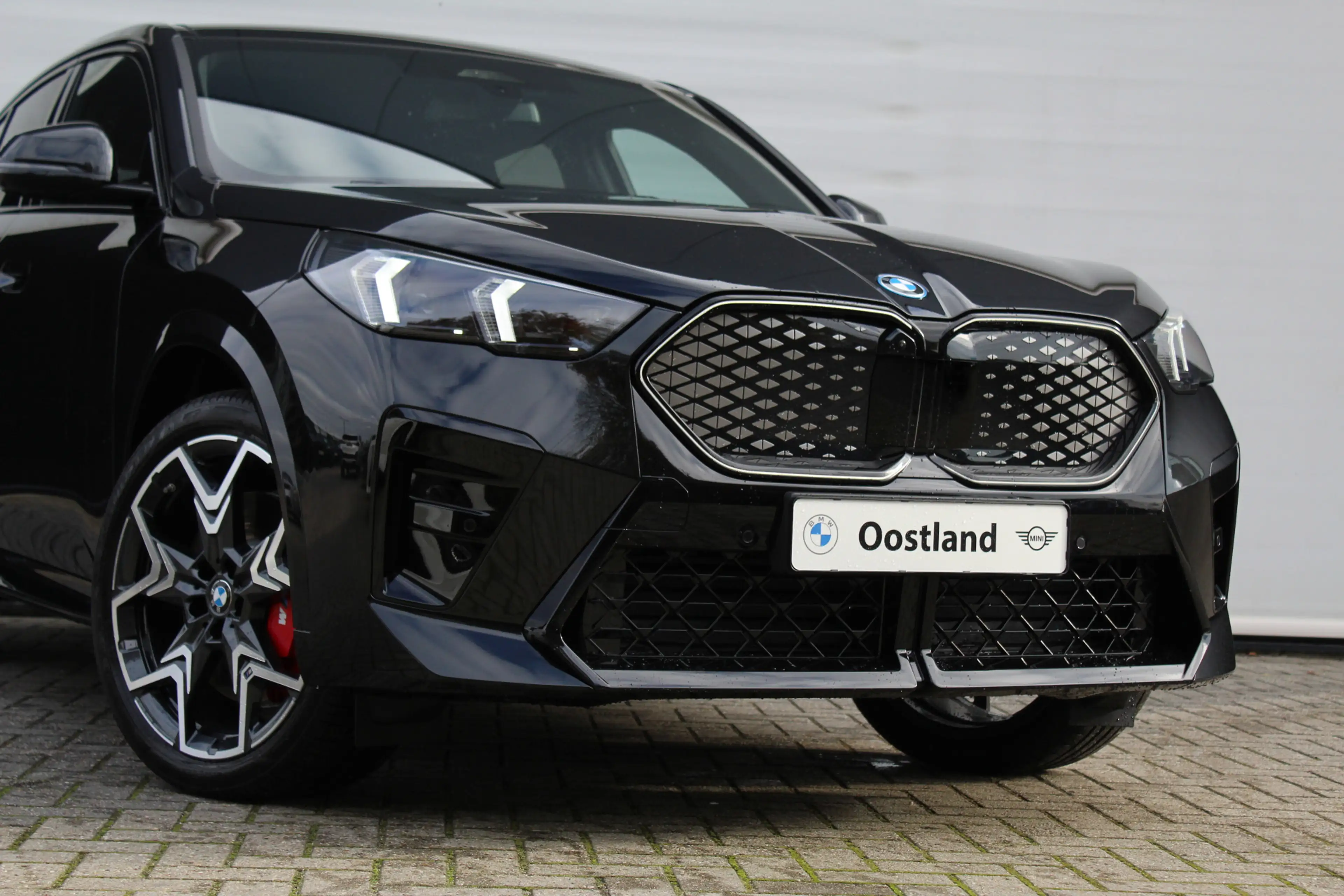 BMW iX2 xDrive30 High Executive M Sport / Panoramadak / Tr — photo 10