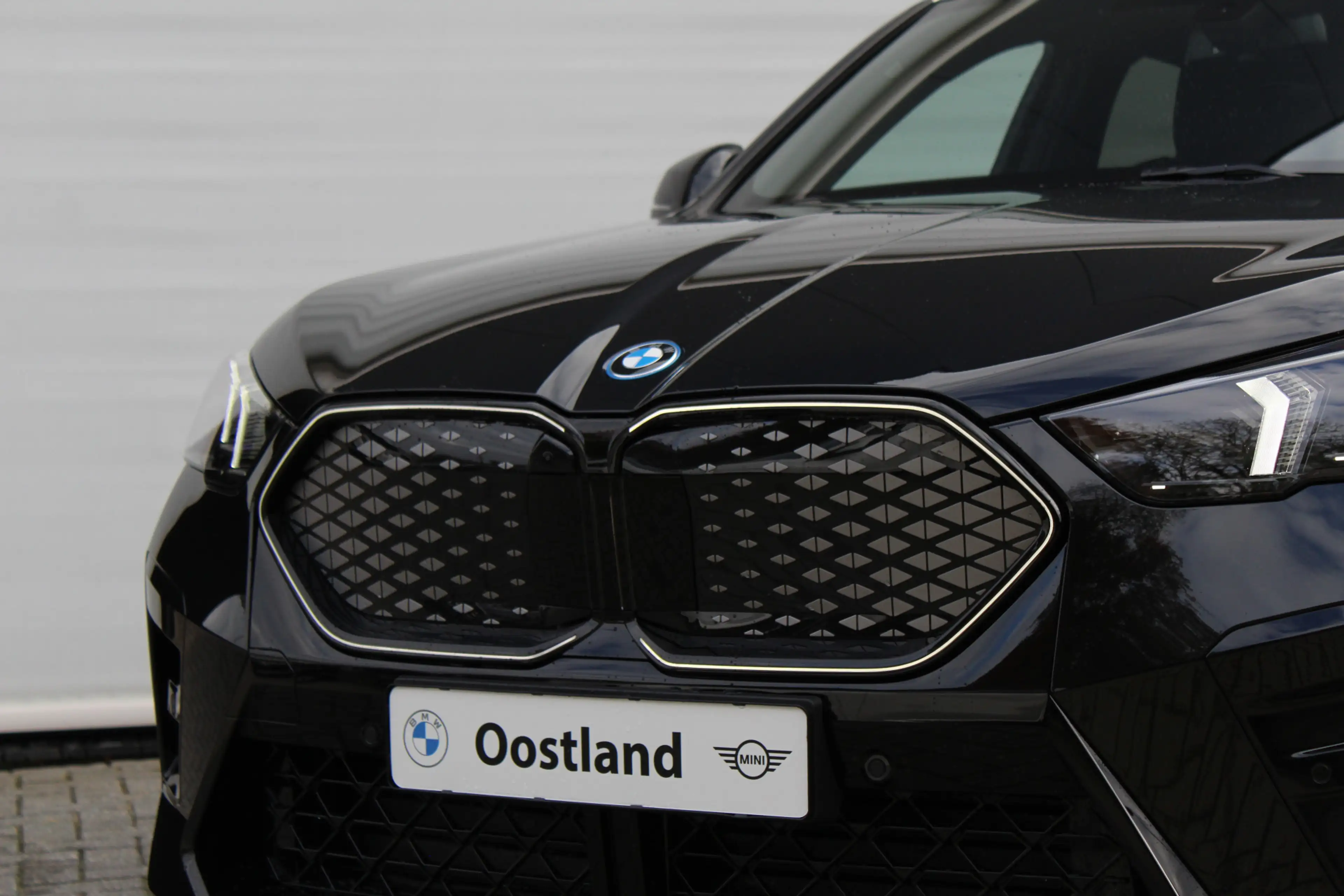 BMW iX2 xDrive30 High Executive M Sport / Panoramadak / Tr — photo 6