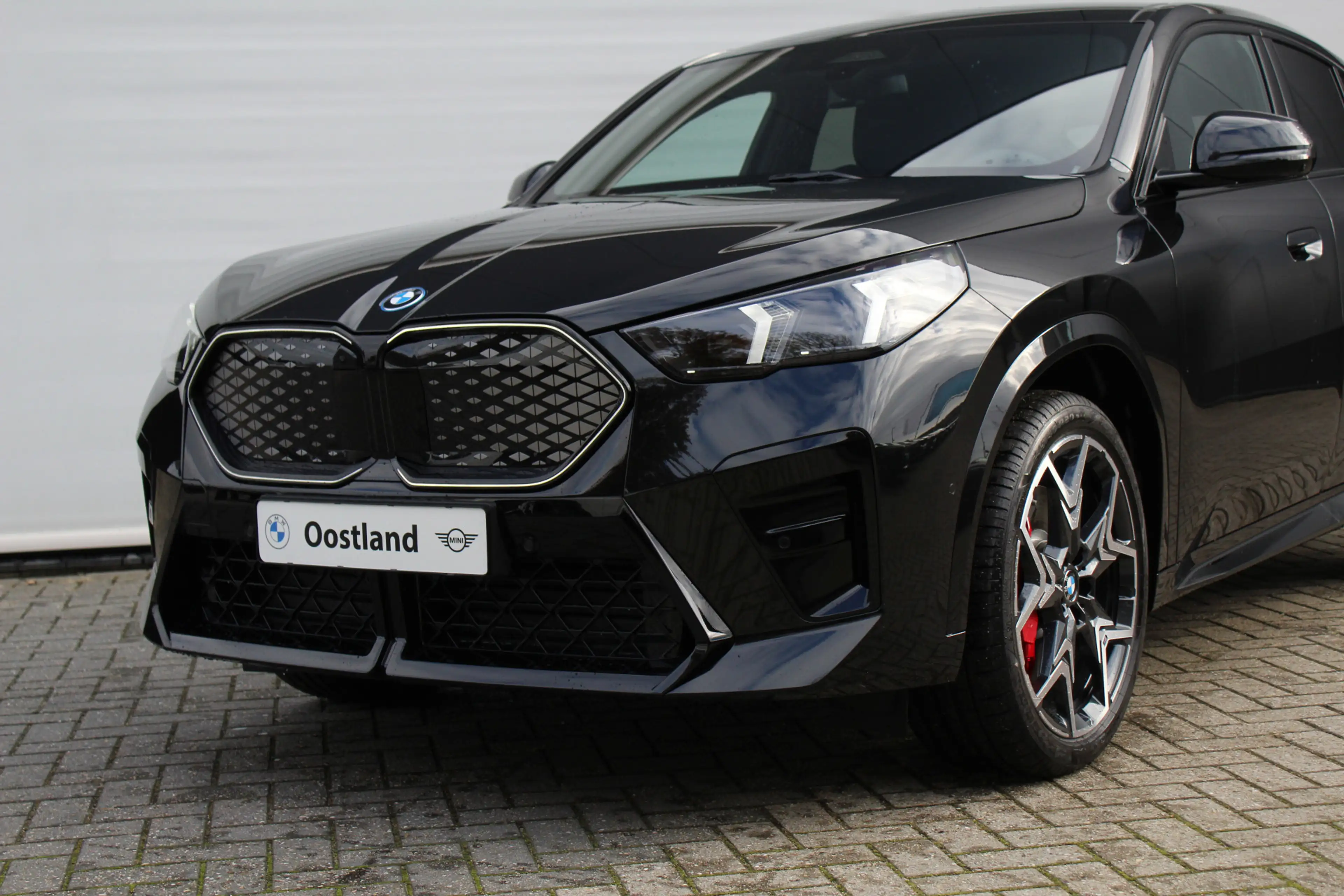 BMW iX2 xDrive30 High Executive M Sport / Panoramadak / Tr — photo 5