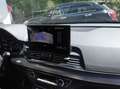 Audi SQ5 SQ5 3.0 Blu/Azzurro - thumbnail 2