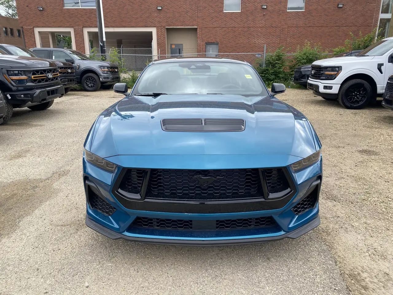Ford Mustang photo Ford Mustang
