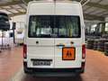 Volkswagen Crafter Kasten 35 L2H2 KAMERA+ROLLSTUHL-RAMPE Blanc - thumbnail 5