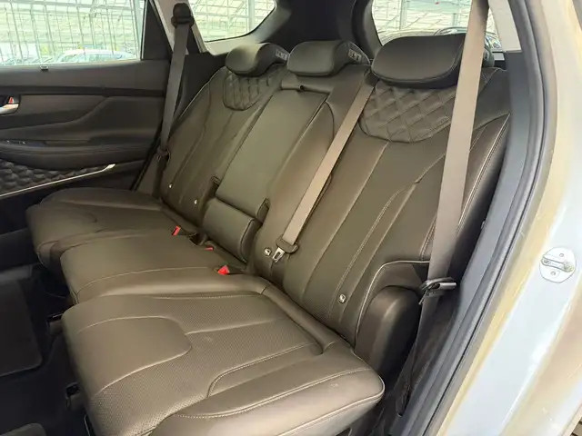 Hyundai Santa Fe view 15