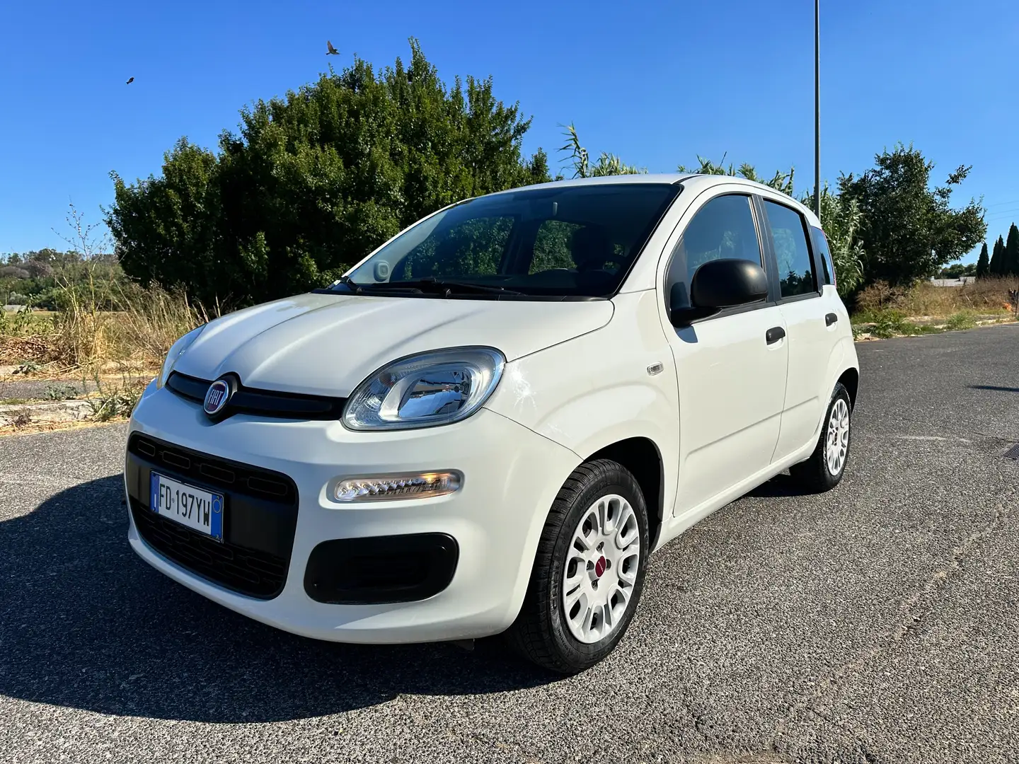 Fiat Panda PandaEURO6 1.3 mjt 16v 95cv Carplay,FATTURABILE Weiß - 1