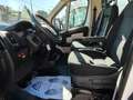 Fiat Ducato 35 2.3 MJT 130CV PM-DC Cab. Maxi CON GRU Blanco - thumbnail 7
