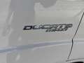 Fiat Ducato 35 2.3 MJT 130CV PM-DC Cab. Maxi CON GRU Blanco - thumbnail 24