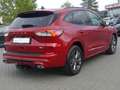 Ford Kuga 2.0 EcoBlue M-Hybrid ST-Line X Navi ACC AHK Rouge - thumbnail 5