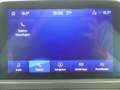 Ford Kuga 2.0 EcoBlue M-Hybrid ST-Line X Navi ACC AHK Rouge - thumbnail 14