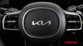 Kia Sorento Sorento 2,2 CRDi SCR AWD Platin DCT Platin Grau - thumbnail 17