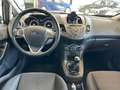 Ford Fiesta Fiesta VI 2013 5p 1.5 tdci ST-line 95cv Grau - thumbnail 8
