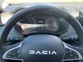 Dacia Sandero Stepway Expression TCe 100 ECO-G Blau - thumbnail 8