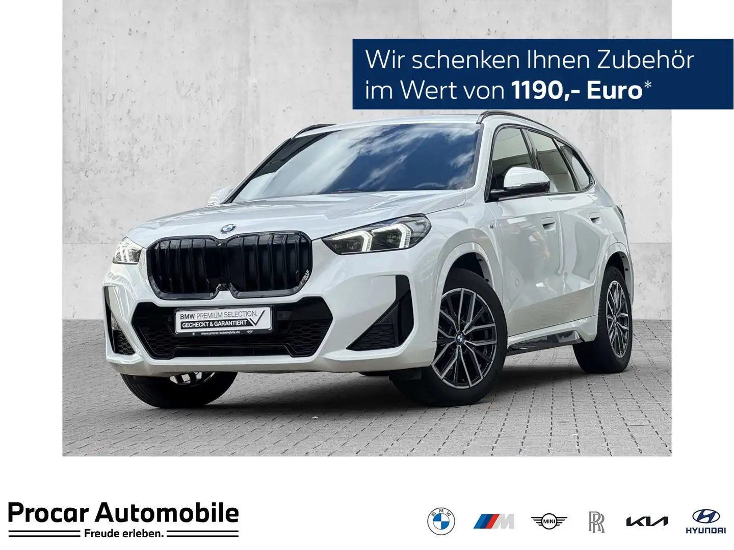 BMW X1 xDrive20d M Sport AdapLED DA+ PA+ HuD H/K AHK Wit - 1