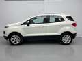 Ford EcoSport 1.0 EcoBoost Trend 125 Blanco - thumbnail 30