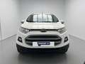 Ford EcoSport 1.0 EcoBoost Trend 125 Blanco - thumbnail 25