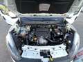 Fiat Doblo 1.3 M-Jet 90CV SX Bianco - thumbnail 11