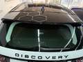 Land Rover Discovery Sport 2.0TD4 HSELuxury 7pl. 4x4 Aut. 150 Blanco - thumbnail 10