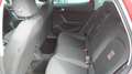 SEAT Ibiza FR Rot - thumbnail 14